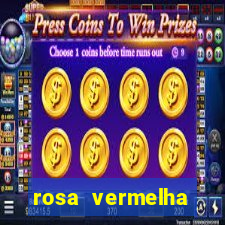 rosa vermelha (letra e cifra)